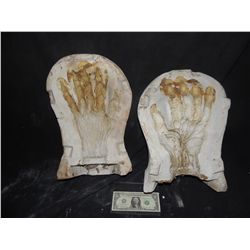 ALIEN 1979 PROTOTYPE XENOMORPH HAND MOLD