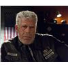 Image 3 : SONS OF ANARCHY CLAY MORROW RON PERLMAN UNFINISHED CUT