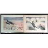Image 1 : Laminated Pictures of WWII Planes Avengers Wildcats