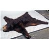 Image 1 : Black Bear Fur Rug w/ Head & Claws