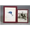 Image 4 : Blue Marlin Sail Fish Taxidermy Mount