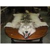 Image 2 : PROFESSIONALLY TAXIDERMIED WOLF WALL RUG