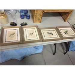 Set of 4 Framed Bird Prints (9.5" X 11.75")