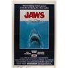 Image 1 : Jaws