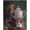 Image 1 : Tiger Woods