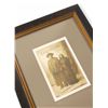 Image 3 : Geronimo Signed Photograph