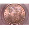 Image 1 : 1884-O Morgan Dollar Ch MS64 PCGS
