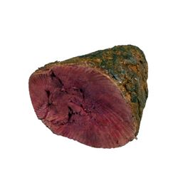 Seinfeld Rubber Roast Beef Prop