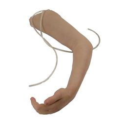 The Giver Fiona (Odeya Rush) Arm Movie Props