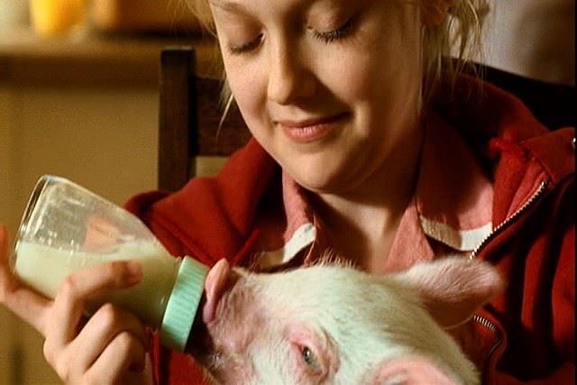 Charlotte's Web (2006) Wilbur The Pig Baby Bottles Props With Display Case