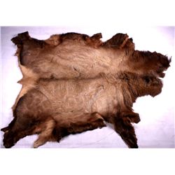 Tanned Montana Elk Hide This is a tanned Montana e