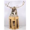 Image 1 : Caribou Trophy Mount on Cedar Pedestal This is a t