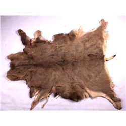 Tanned Montana Mule Deer Hide This is a tanned Mon