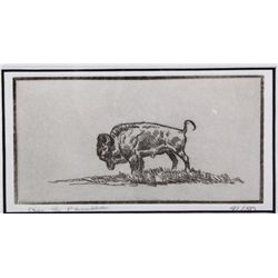 Original Buffalo Etching by Ace Powell (1912-1978)