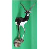 Image 1 : Gold Black Buck Half Trophy Mount This is a very r