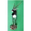 Image 2 : Gold Black Buck Half Trophy Mount This is a very r