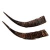 Image 3 : Australian Water Buffalo Horns This is a set of or
