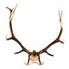 Image 1 : Montana Large Elk Rack The lot features a set of l