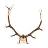 Image 2 : Montana Large Elk Rack The lot features a set of l
