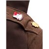 Image 8 : U.S. Army Uniform with Pins and Buttons This is a