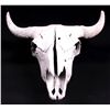 Image 1 : Montana Buffalo Skull This is a large Montana buff