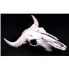 Image 2 : Montana Buffalo Skull This is a large Montana buff