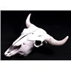 Image 3 : Montana Buffalo Skull This is a large Montana buff