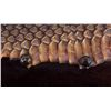 Image 5 : Montana Rattlesnake Skin Mount This is a Montana r