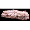 Image 1 : Large Petrified Wood Specimen This is a large petr