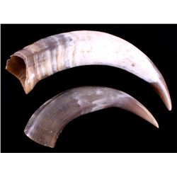Montana Steer Horns This is a pair of Montana stee