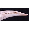 Image 8 : Hand Made Cribbage Board Collection This is a pair