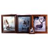 Image 1 : Framed Wildlife Prints This is a collection of wil