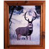 Image 4 : Framed Wildlife Prints This is a collection of wil