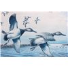 Image 5 : 1992 Waterfowl Collector's Series Print This is a