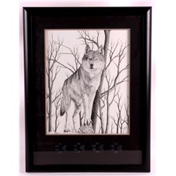 Bill Billman Framed Print This is a Bill Billman f