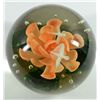 Image 2 : Glass Paperweight Lotus Blossom
