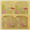 Image 1 : 2 Stereoscopic Treasures By F.G. Weller