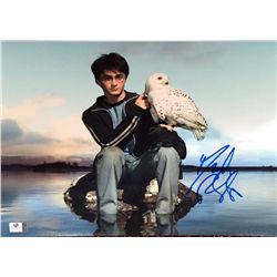 Daniel Radcliffe "Harry Potter" original signed 11x14 photograph, comes with Global CoA in addition 