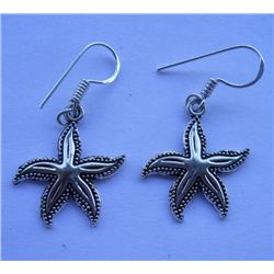 3.420g Earring Made of German Silver