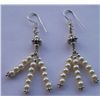 Image 1 : 6.210g Earring of Pearl Made in German Silver