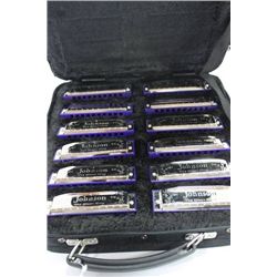 SET OF 12 JOHNSON HARMONICAS