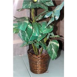 ARTIFICIAL PLANT W WICKER BASKET