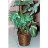 Image 1 : ARTIFICIAL PLANT W WICKER BASKET