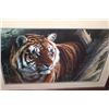 Image 1 : 20 X 24 FRAMED TIGER PICTURE