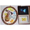 Image 1 : BOX OF FRAMED BUTTERFLY DISPLAYS