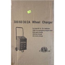 300AMP/60AMP/30 AND 2 AMP 12 AND 6 VOLT BATTERY