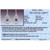 Image 3 : 14KT White Gold 4.80ctw Black Diamond Earrings