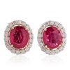 Image 1 : 14KT Yellow Gold 7.02ctw Ruby and Diamond Earrings