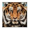 Image 3 : Terrific Tiger By Martin Katon