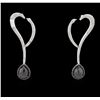 Image 1 : 18KT White Gold 5.82ctw Black Diamond Earrings